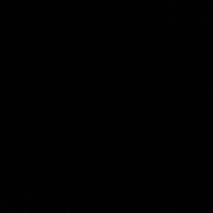 Meet your Posher, Yashna